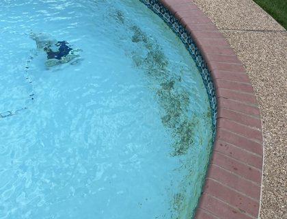 Debris removal & vacuum clean — weekly cleaning in Vero Beach, FL