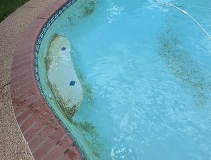 Debris removal & vacuum clean — weekly cleaning in Vero Beach, FL
