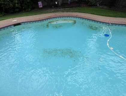 Debris removal & vacuum clean — weekly cleaning in Vero Beach, FL