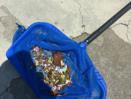 Weekly service, water kept clear — weekly cleaning in Vero Beach, FL
